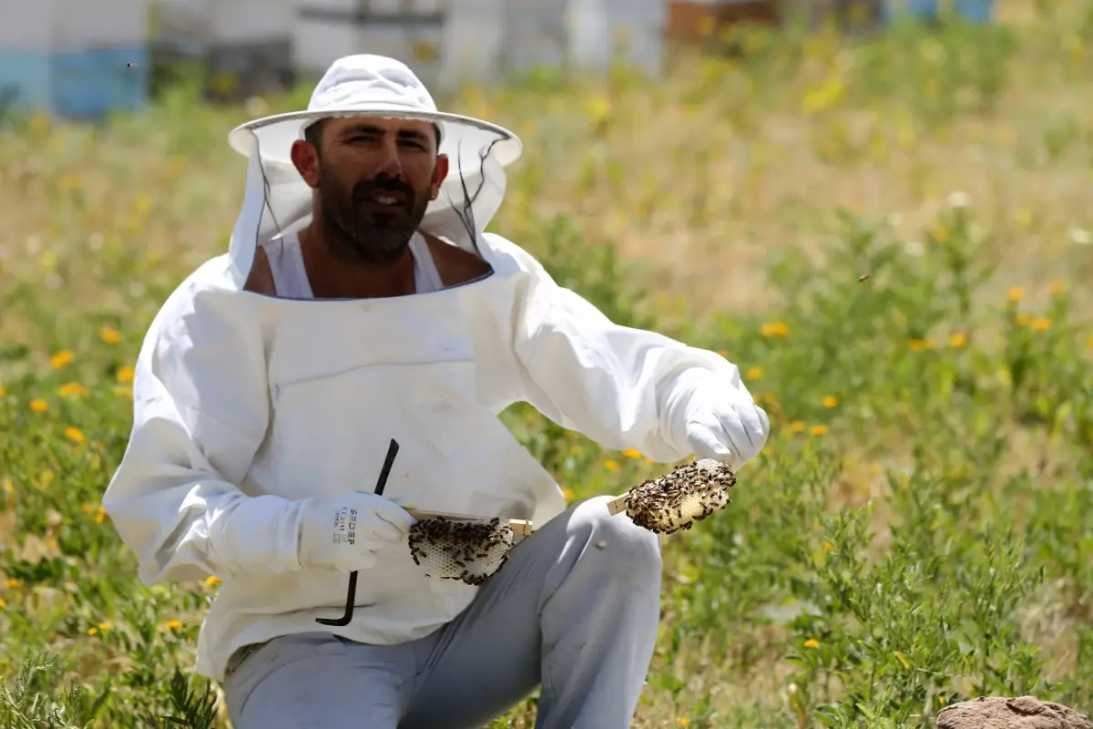 Gezgin arıcıların Muş\'un verimli yaylalarına "tatlı" yolculuğu başladı