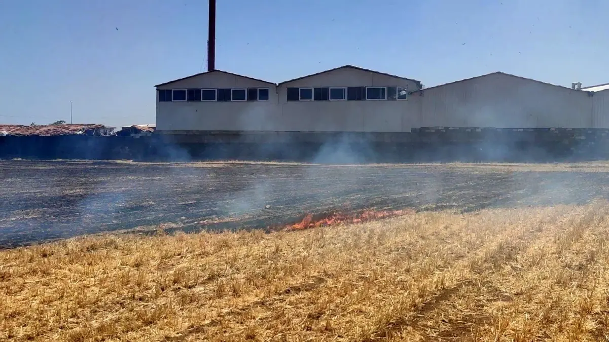 İslahiye\'de anız yangını az kalsın fabrikayı yok ediyordu