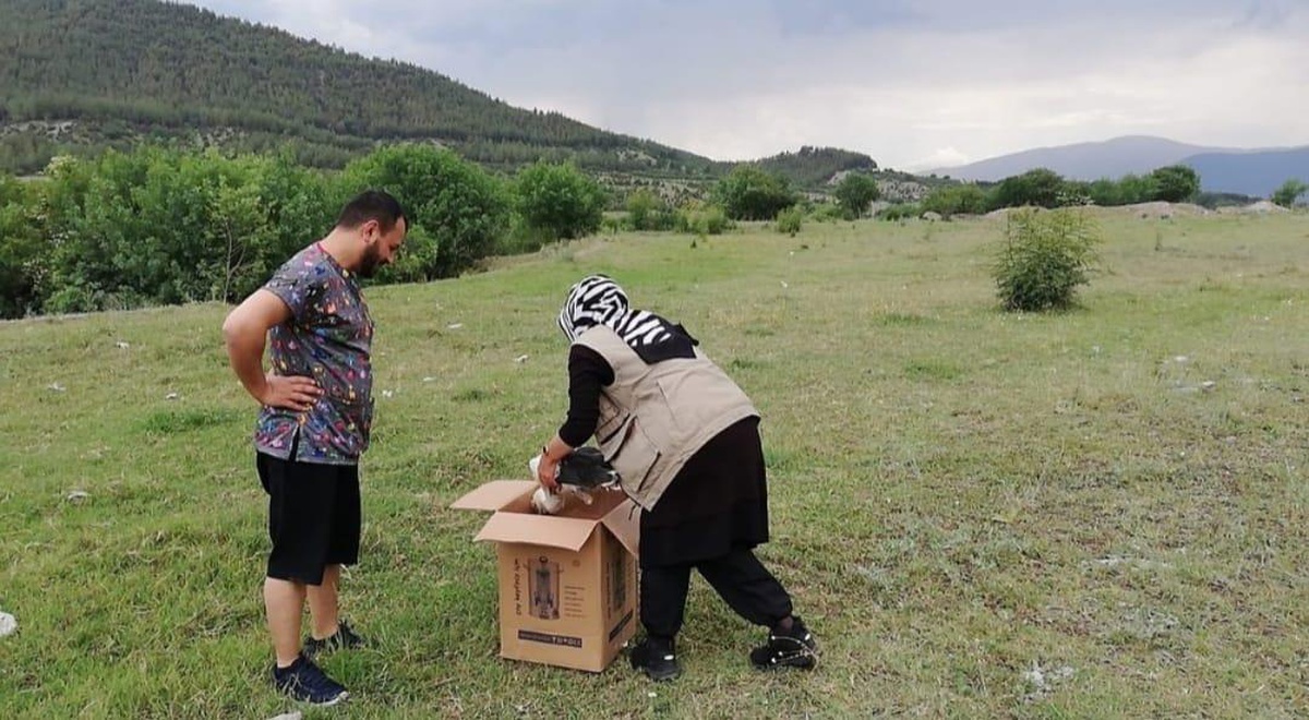 Karabük\'te tedavisi tamamlanan leylek doğaya bırakıldı