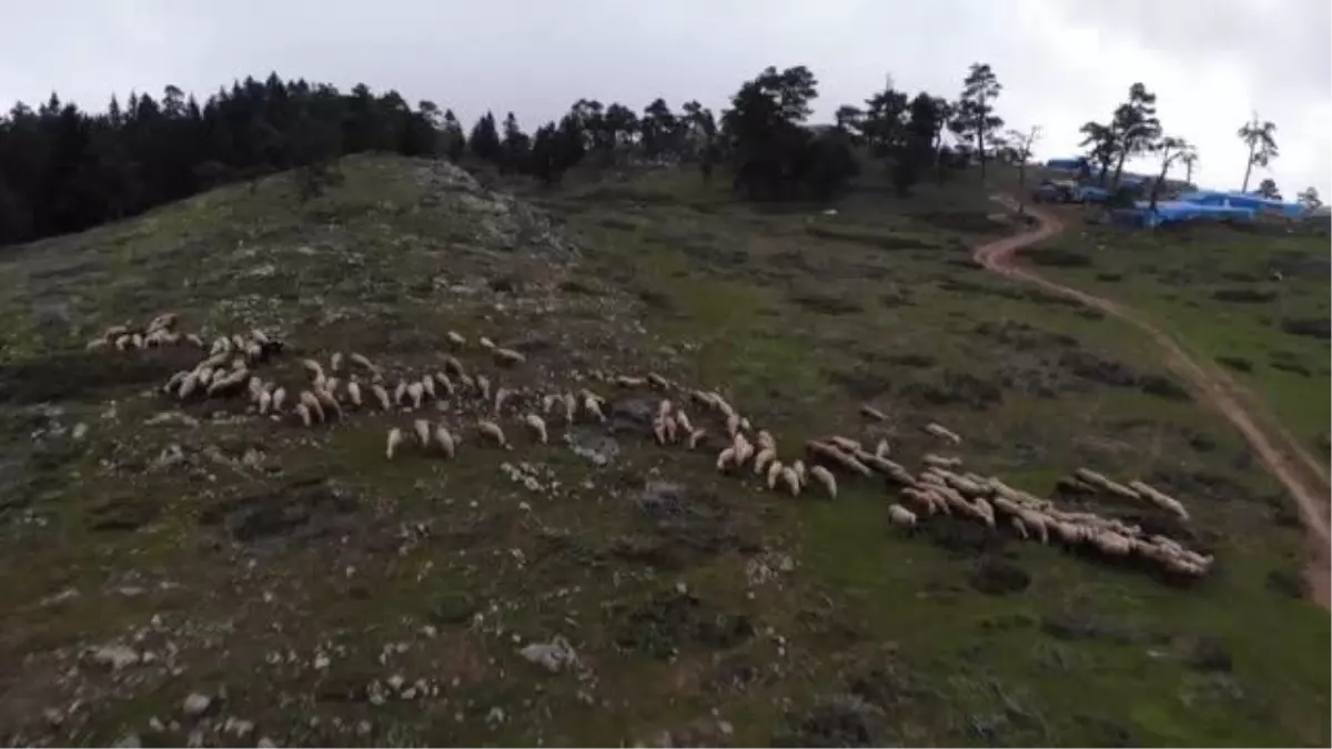 KASTAMONU - Görsel şölen sunan Kastamonu yaylaları gözde doğa turizmi rotaları arasına girecek