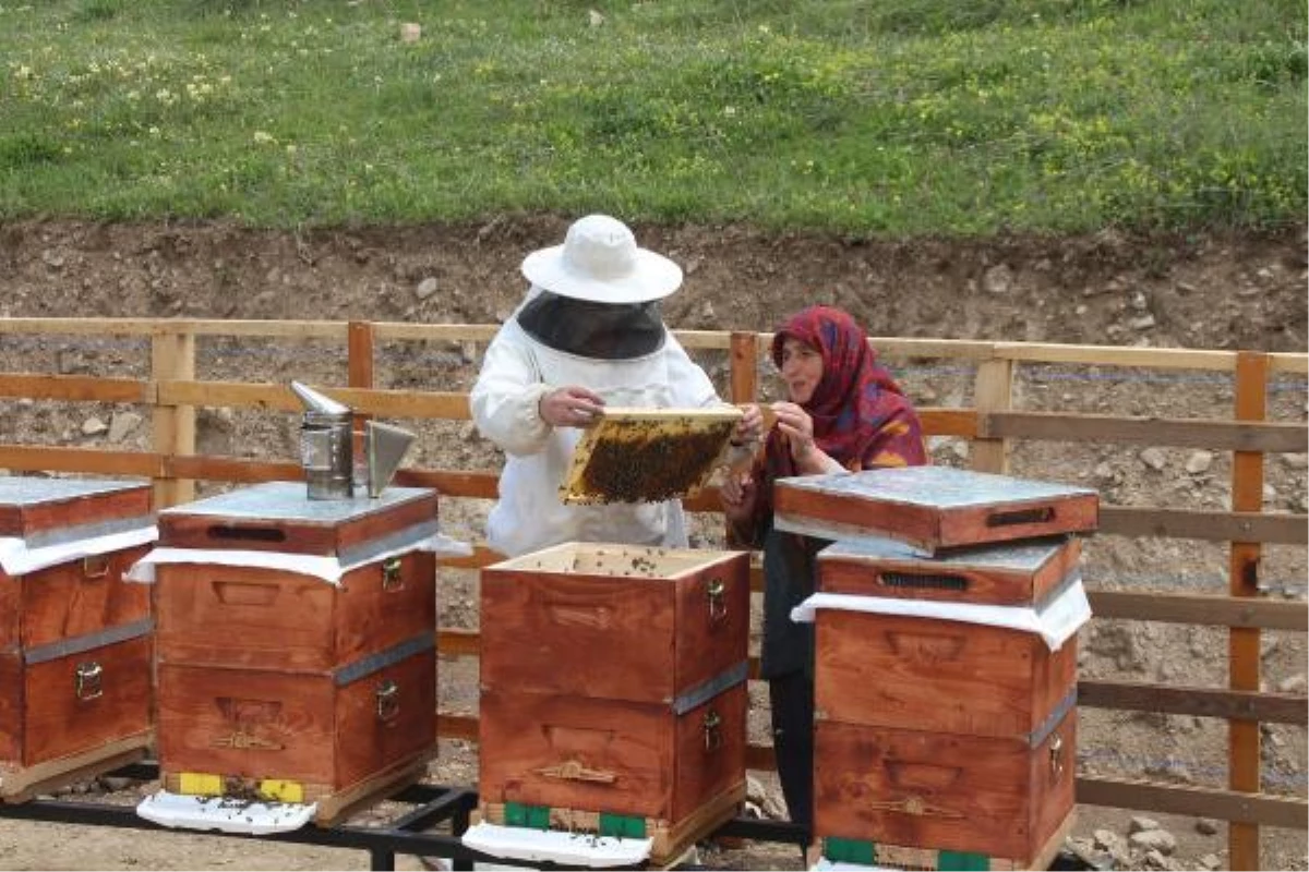 Anzer honey opens production season; hundreds of already ordered