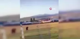 Ayılar ilçe merkezine indi