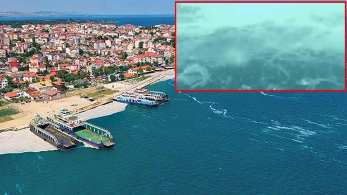 Görüntüleri Prof. Dr. Mustafa Sarı yayınladı: Marmara\'yı kaplayan müsilaj Ege\'ye doğru ilerliyor