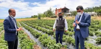 Hüyük'te coğrafi tescilli çileğin tanıtım ve eğitim toplantısı