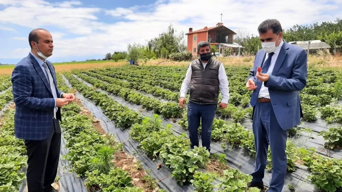 Hüyük\'te coğrafi tescilli çileğin tanıtım ve eğitim toplantısı