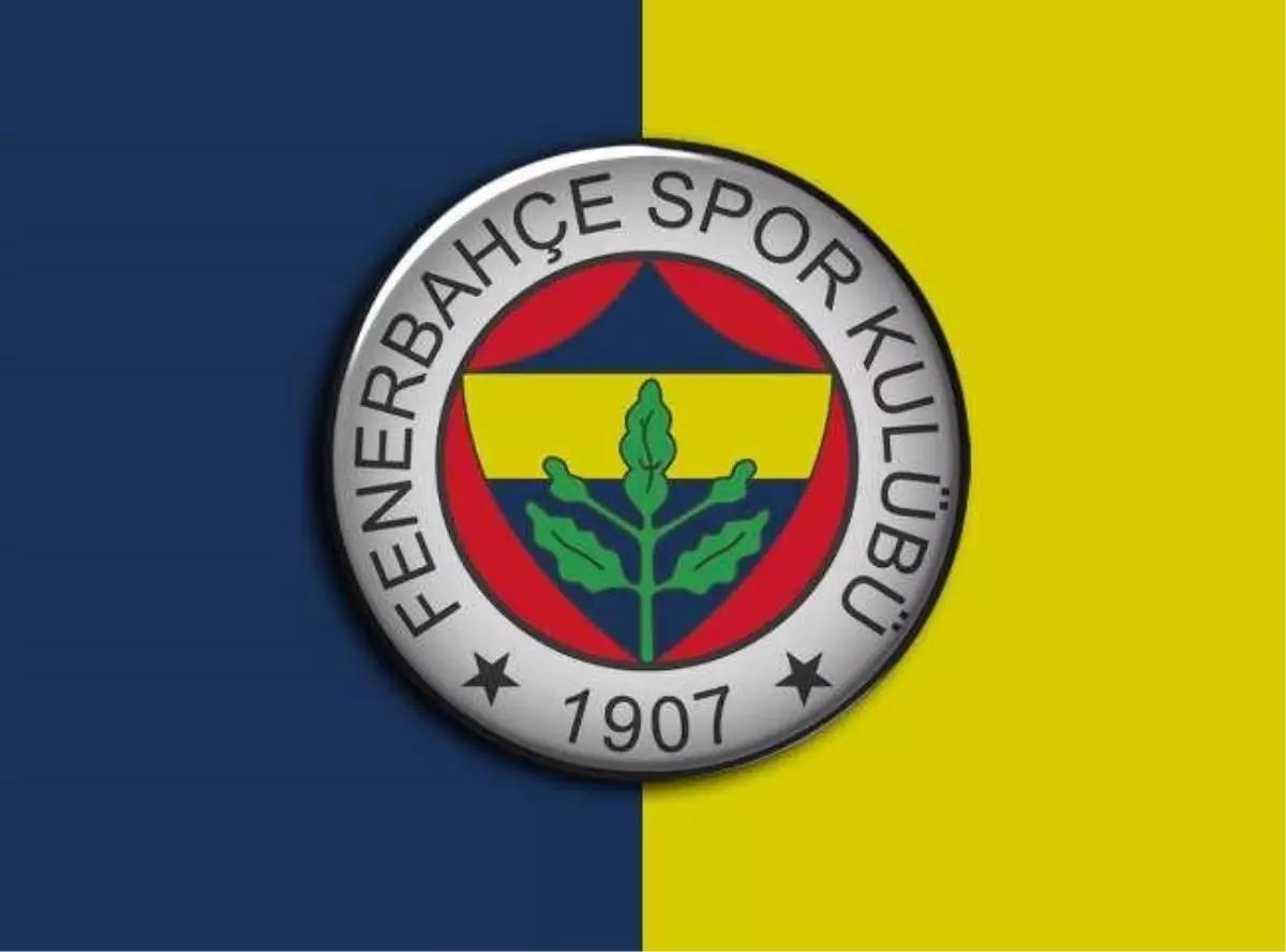 Marial Shayok, Fenerbahçe\'de