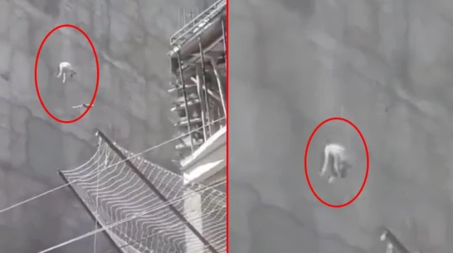 Şanlıurfa'da acı içinde havlayan köpeği 7'nci kattan aşağı attılar