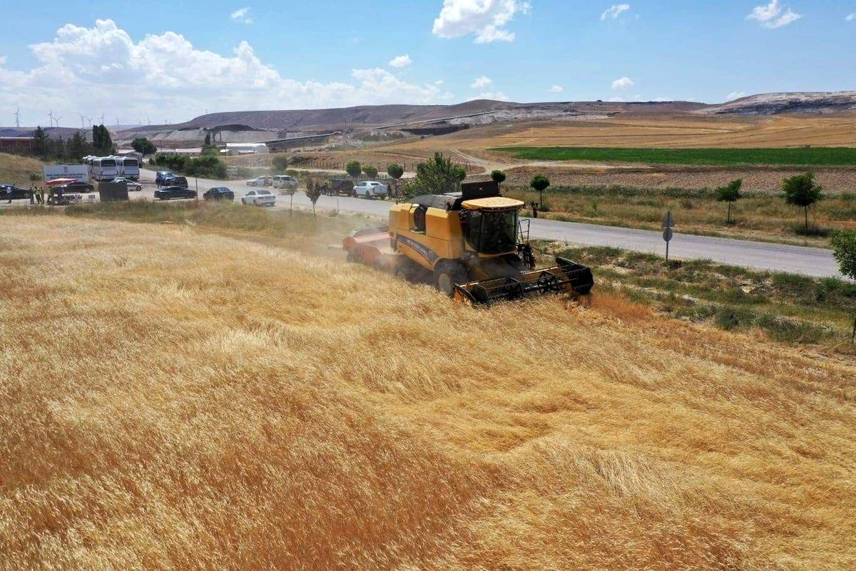 Sivas işlenen tarım alanında 4\'üncü sırada