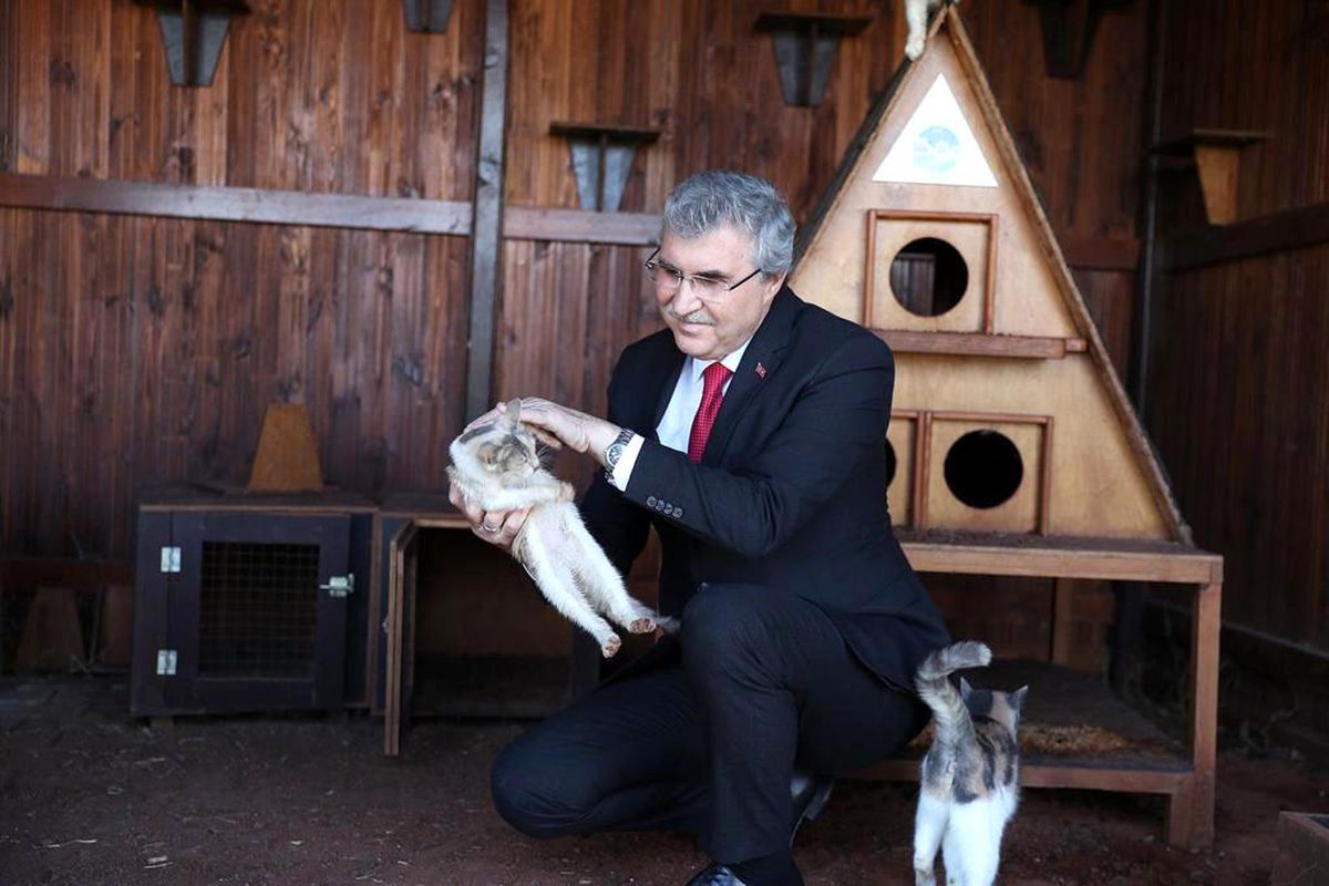Sokak hayvanlarının yuvası olacak projenin ilk adımı atıldı