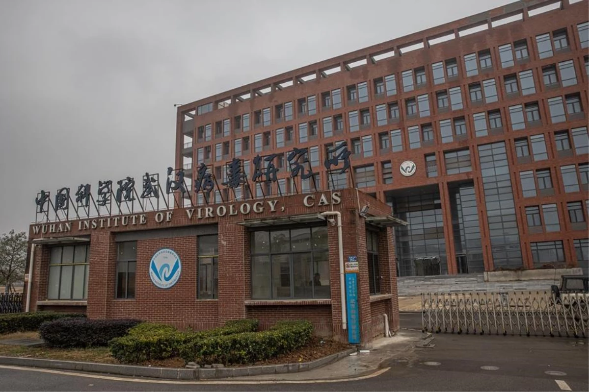 Çin\'de en yüksek bilim ödülüne Wuhan Viroloji Enstitüsü aday gösterildi