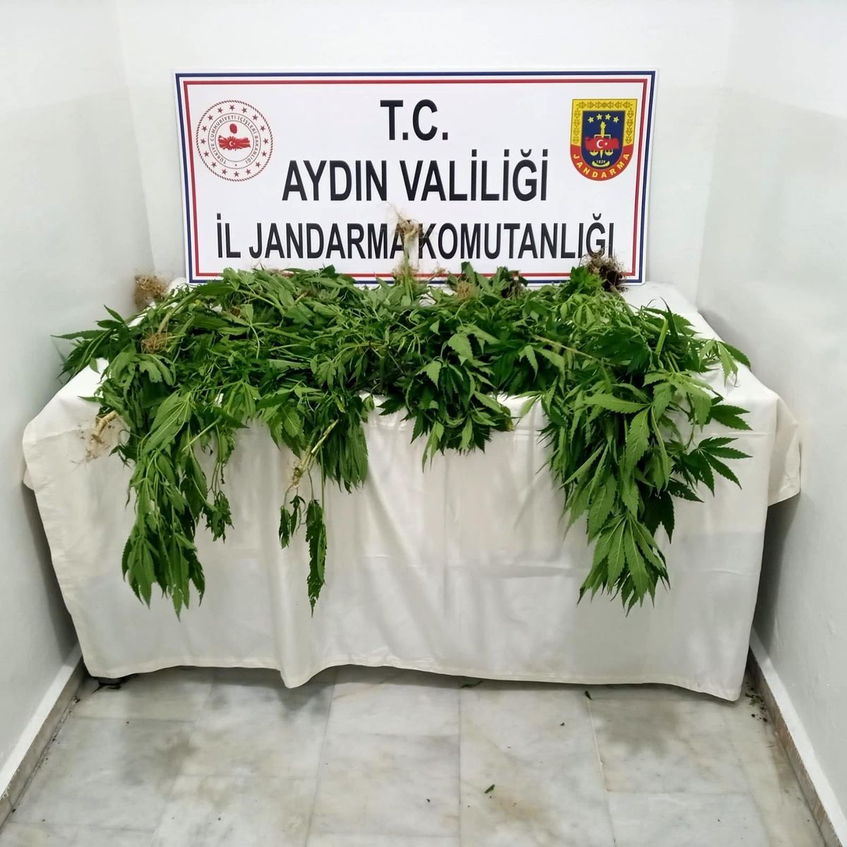 1 haftada 222 gram uyuşturucu ele geçirildi