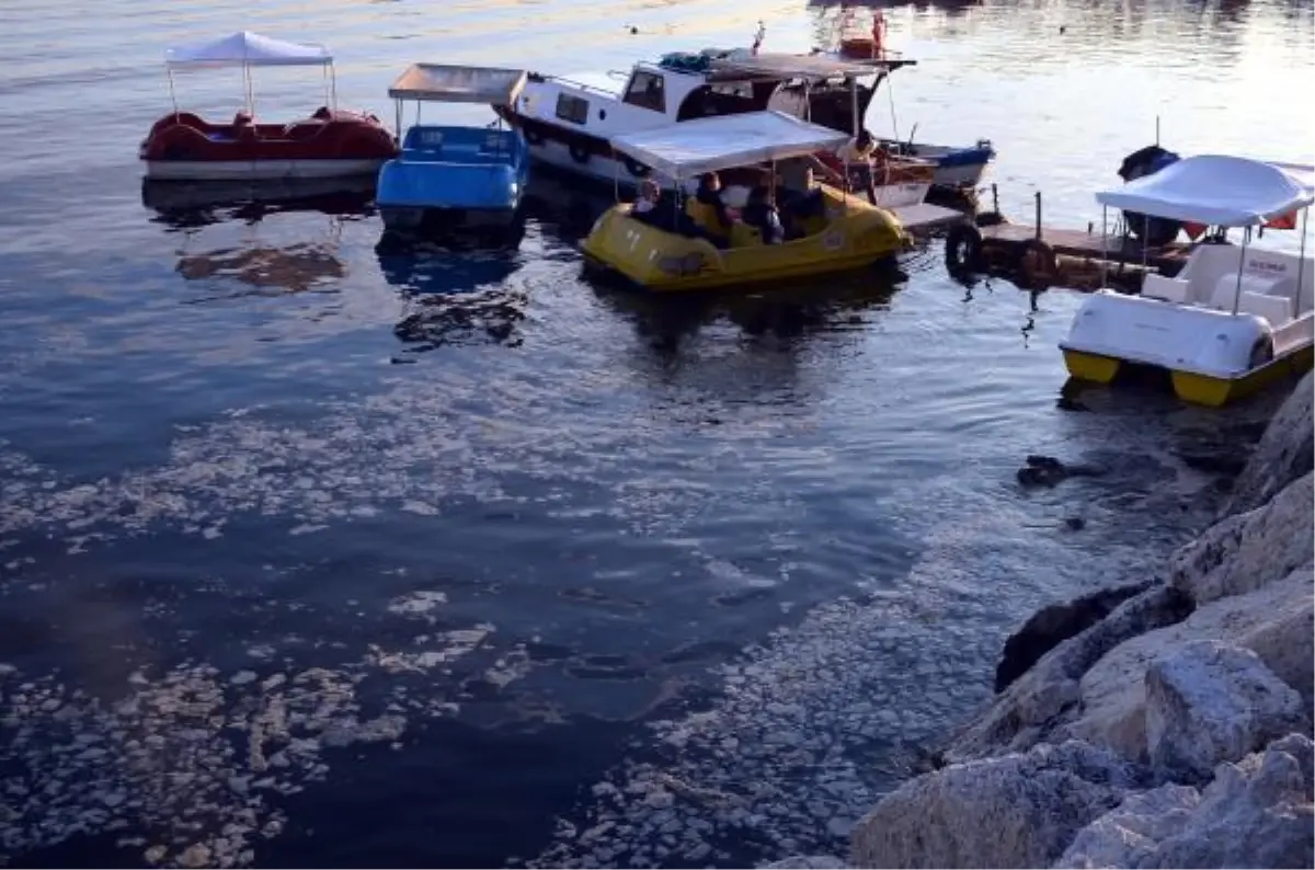 Avcılar Sahili\'ni müsilaj kapladı