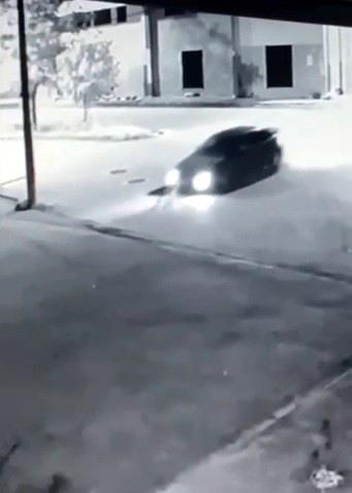 Dikkatsiz sürücü köpeği ezdi, o anlar kameraya yansıdı