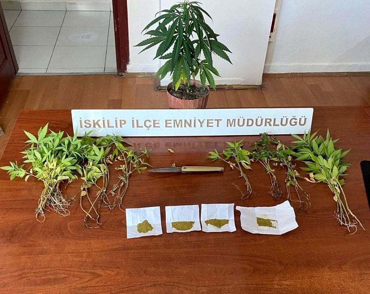 Son dakika gündem: İskilip polisinden uyuşturucu operasyonu