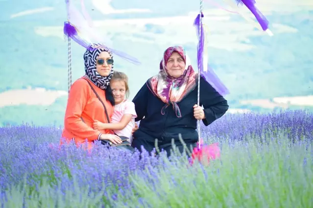 İstanbul'un stresinden kaçan soluğu burada alıyor: Tarla sahibi Stresle gelmesinler 