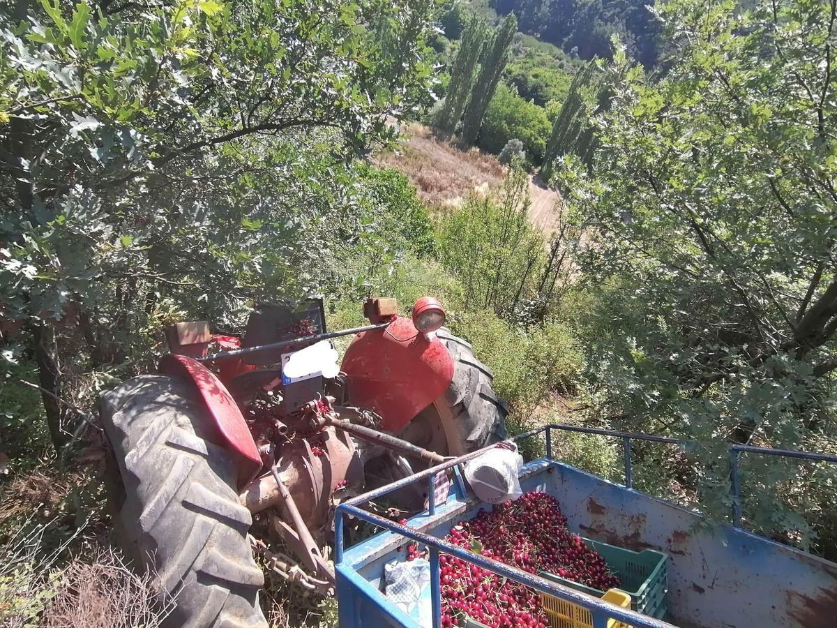 Manisa\'da devrilen traktördeki 5 kişi yaralandı