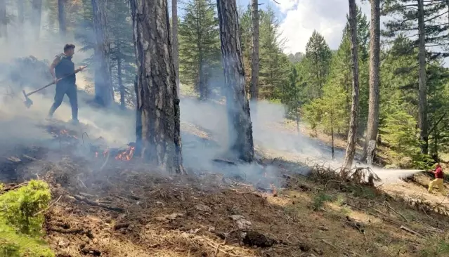 Muğla'da 12 günde 48 yıldırım yangını