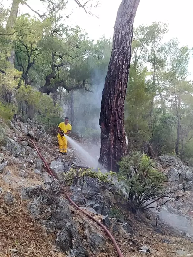 Muğla'da 12 günde 48 yıldırım yangını