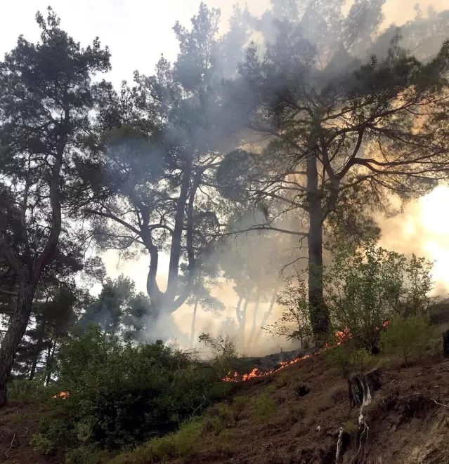 Muğla'da 12 günde 48 yıldırım yangını