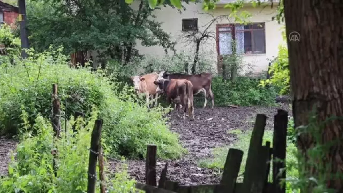 Sağanak su baskınlarına neden oldu