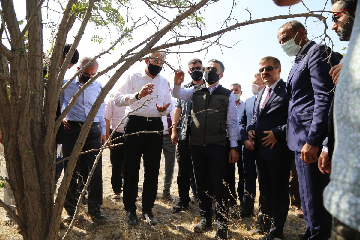 Son dakika gündem: Tarım ve Orman Bakanı Bekir Pakdemirli, Iğdır\'da konuştu Açıklaması