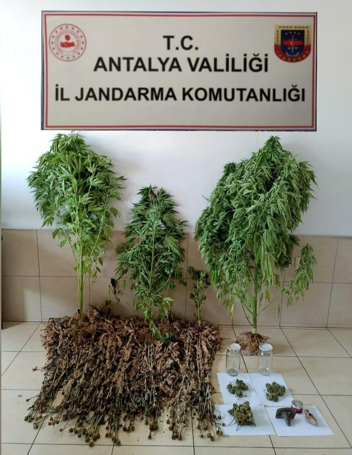 ABD vatandaşının evinden uyuşturucu ve tarihi eser çıktı
