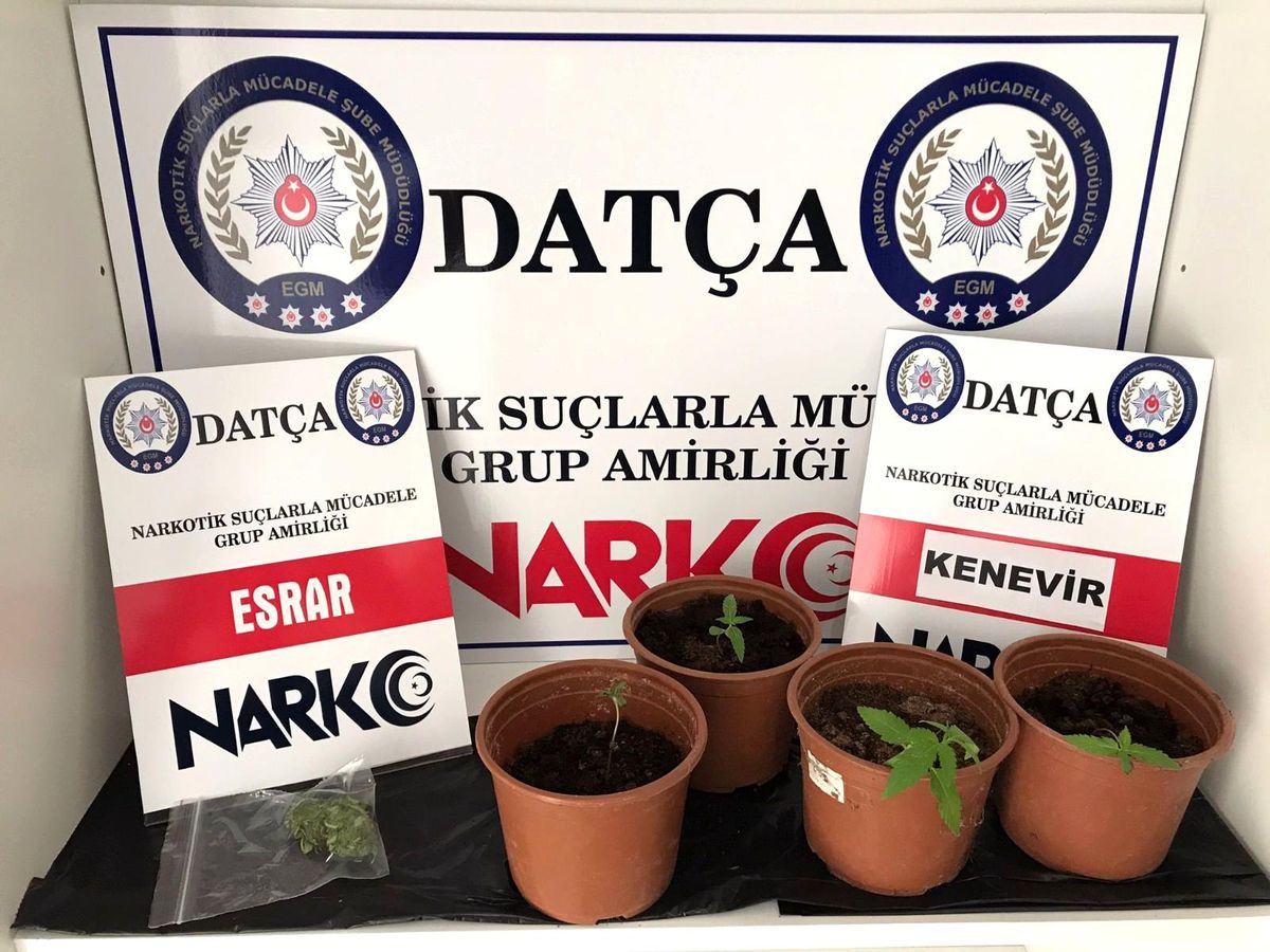 Datça\'da uyuşturucu baskını
