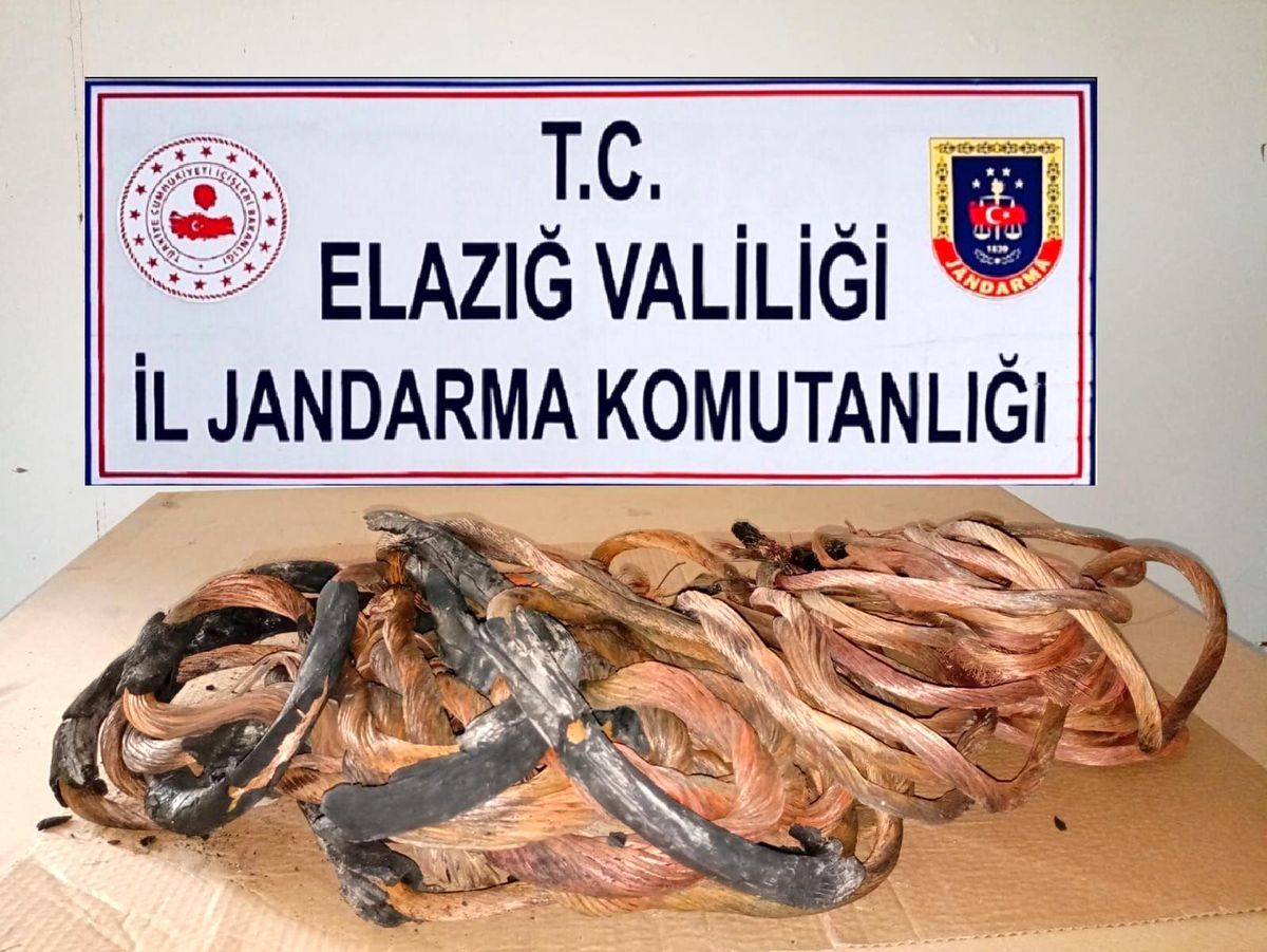 Erzurum\'da çaldılar Elazığ\'da yakalandılar