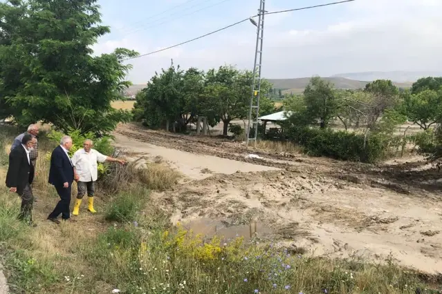 Güdül'de bazı ekili araziler sağanak ve doludan zarar gördü