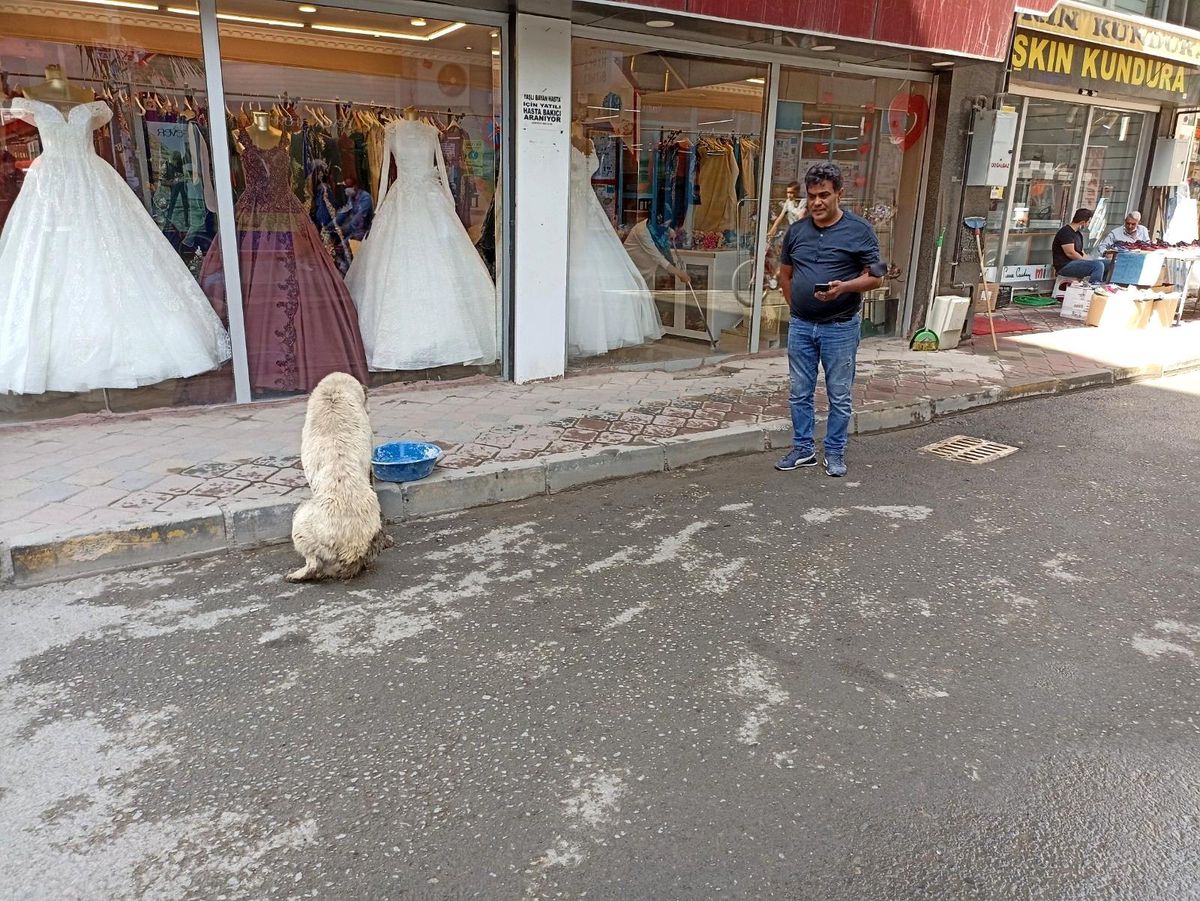 Iğdırlı vatandaştan örnek davranış