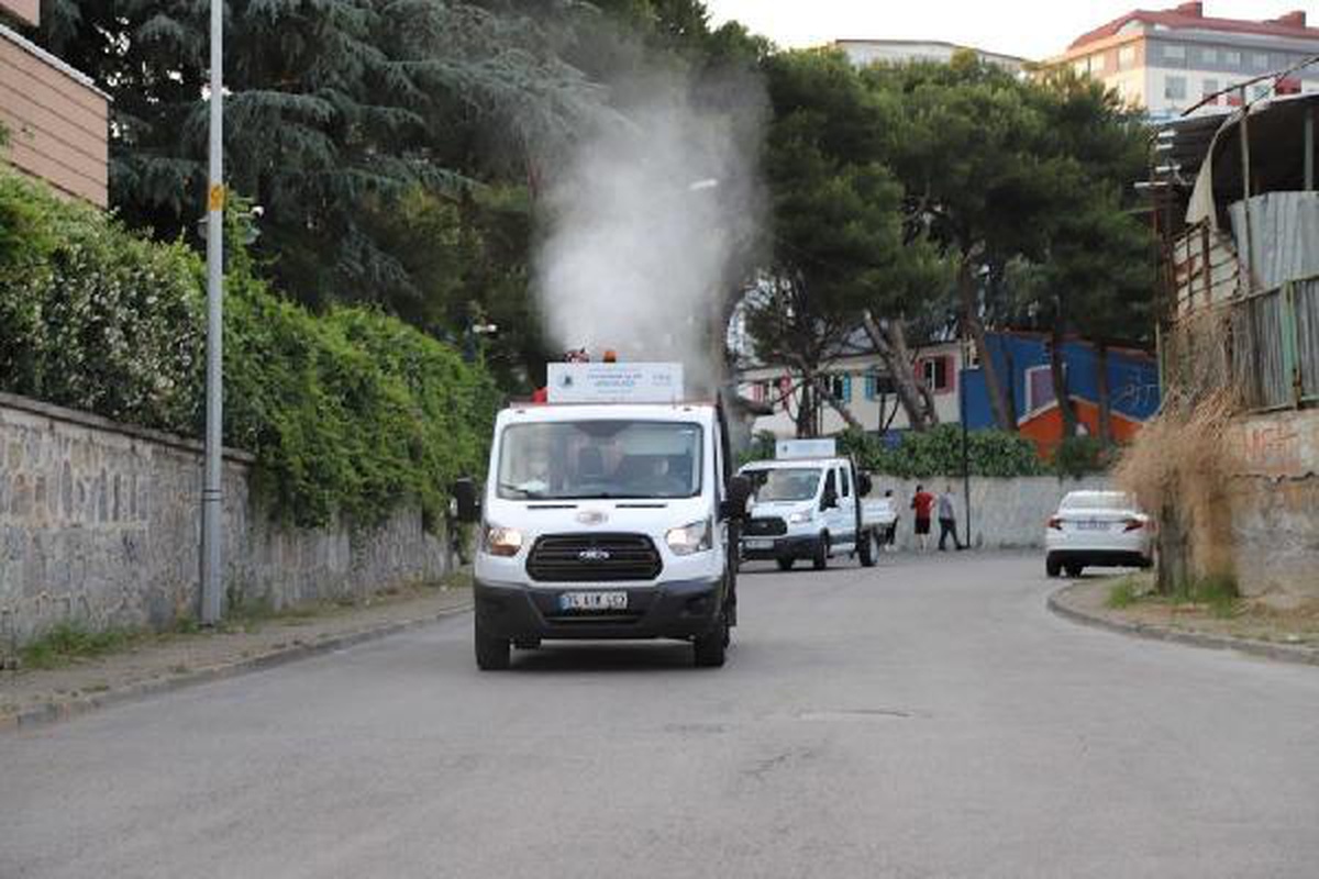Kartal\'da uçkun ve sivrisinekle mücadelede ilaçlama çalışmaları başlatıldı