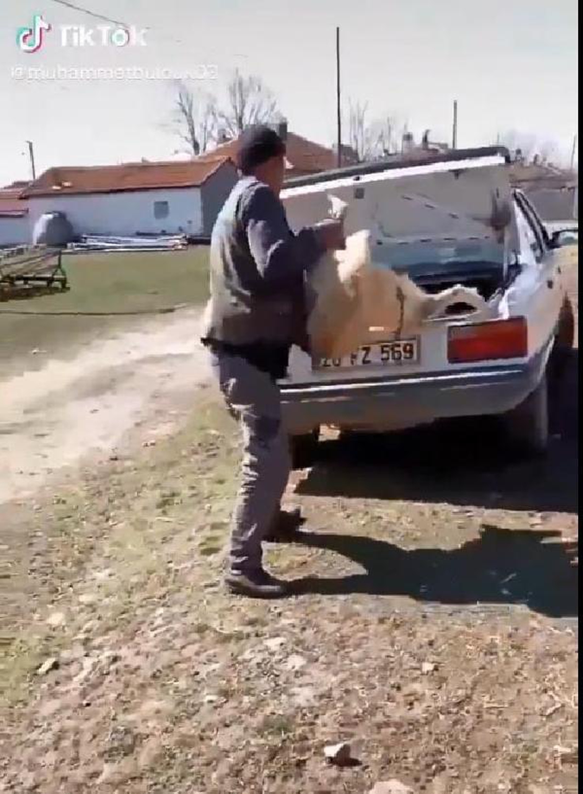 Köpeğin bagaja kilitlenmesine 2 bin 66 lira ceza