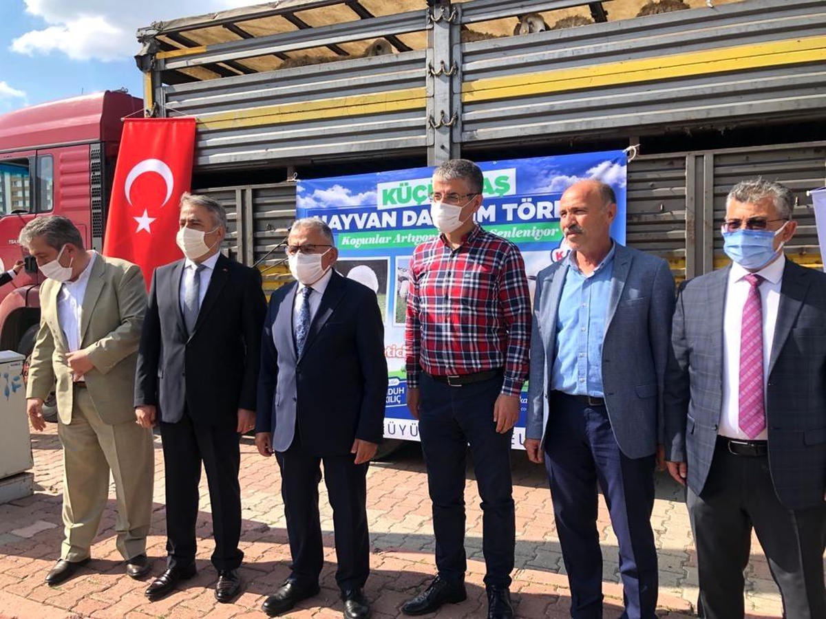 "Koyunlar Artıyor Meralar Şenleniyor" projesi ile 55 aileye bin 100 küçükbaş verildi