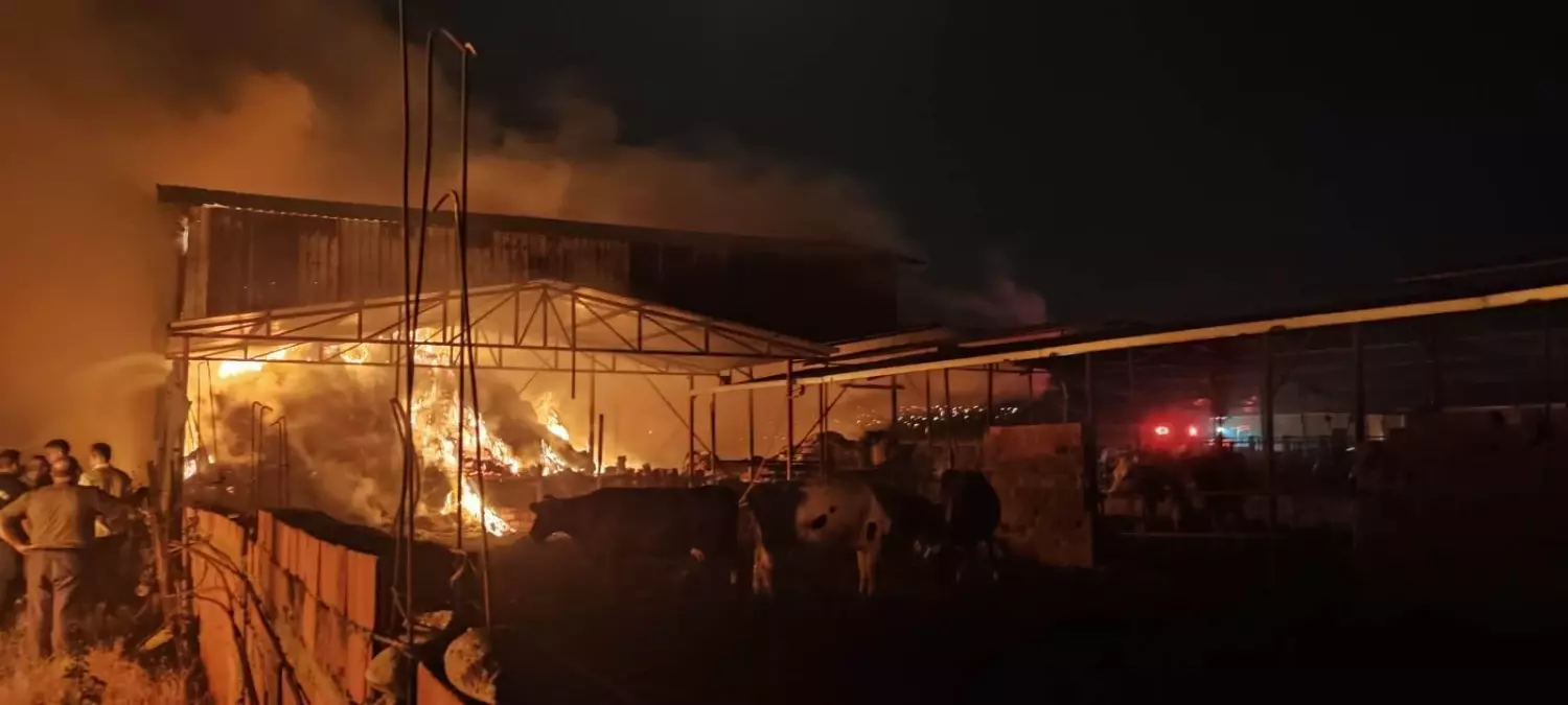 Manisa\'da ağılda çıkan yangın söndürüldü