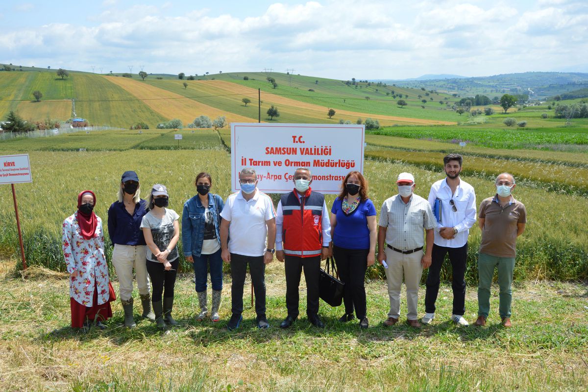 Samsun İl Tarım ve Orman Müdürü Sağlam deneme alanında inceleme yaptı