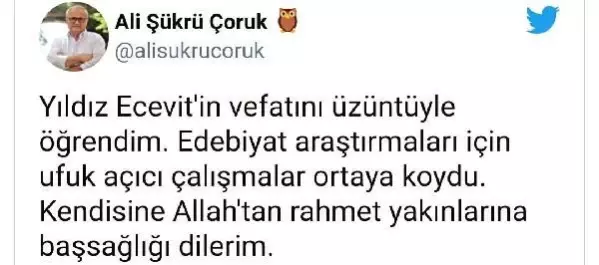 Son dakika haberi... Yazar ve akademisyen Prof. Yıldız Ecevit hayatını kaybetti