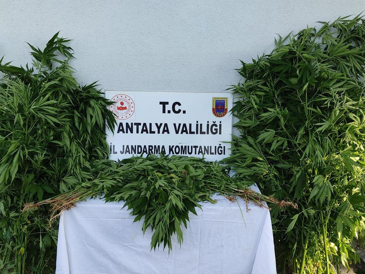 Antalya\'da uyuşturucu operasyonunda 1 kişi yakalandı