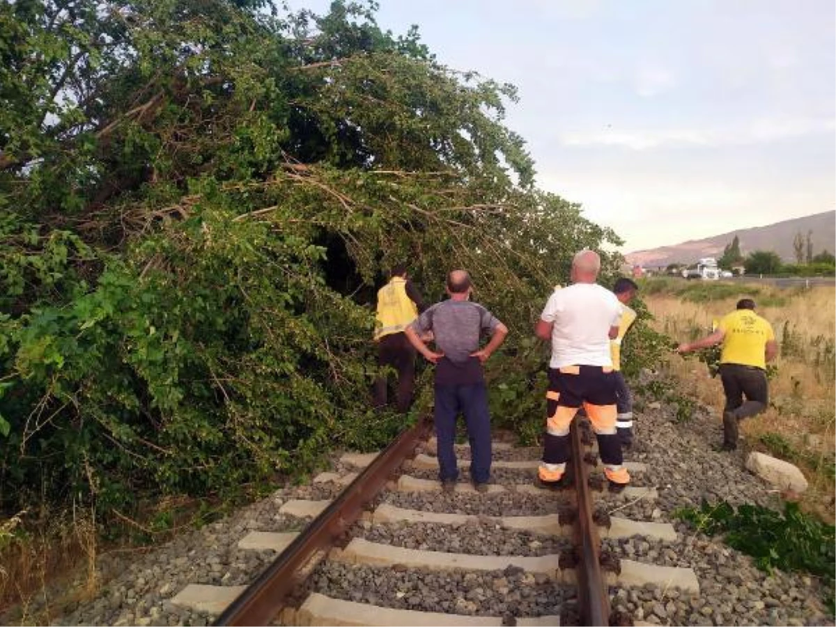 Aydın\'da ölüme ve 5 ilçede hasara yol açan \'tam fırtına\' 11 dakika sürmüş