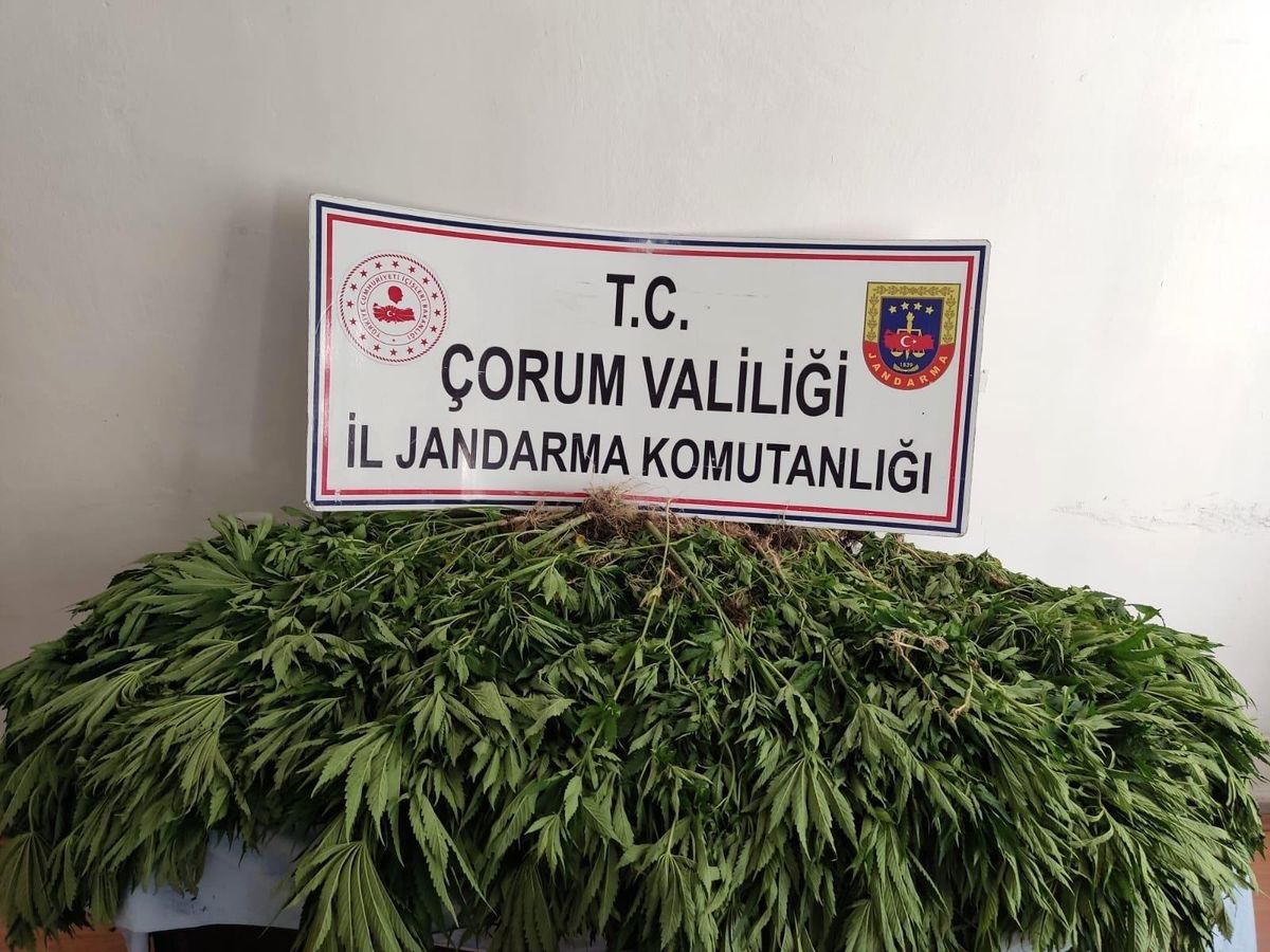 Son dakika 3. sayfa: Çorum\'da uyuşturucu operasyonu