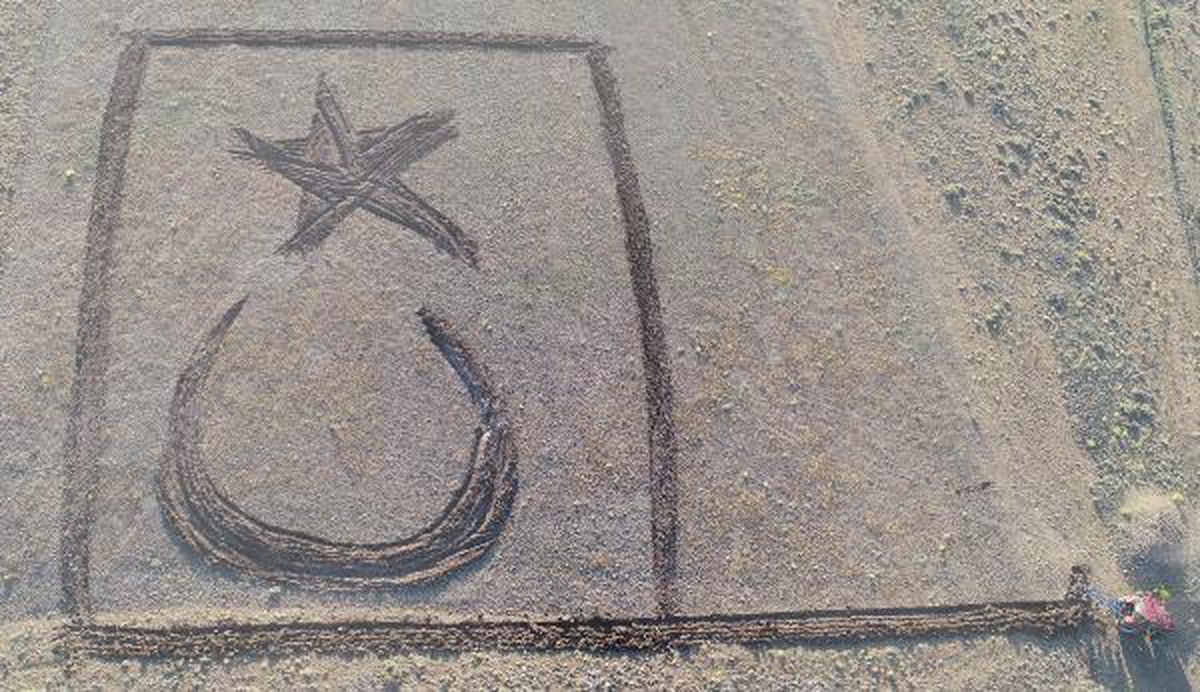 Erzurumlu çiftçi tarlasına traktörüyle Türk bayrağı çizdi