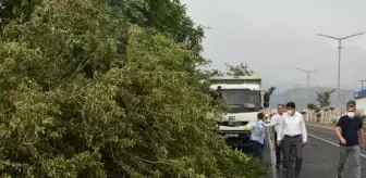 Fırtına, Nazilli'de yaşamı olumsuz etkiledi