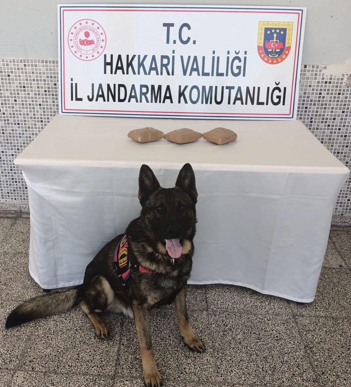 Hakkari\'de kayalıklara gizlenmiş 3 kilogram eroin ele geçirildi