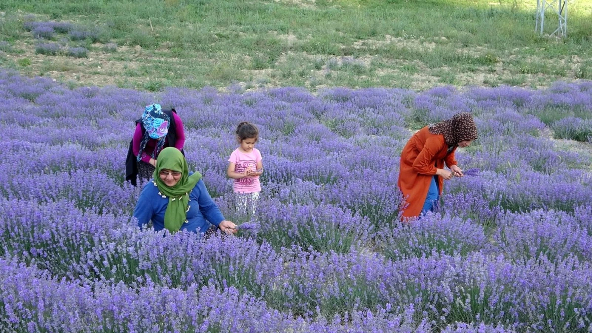 Kadınlar birlik oldu şimdi o köy kırsal turizminin gözdesi