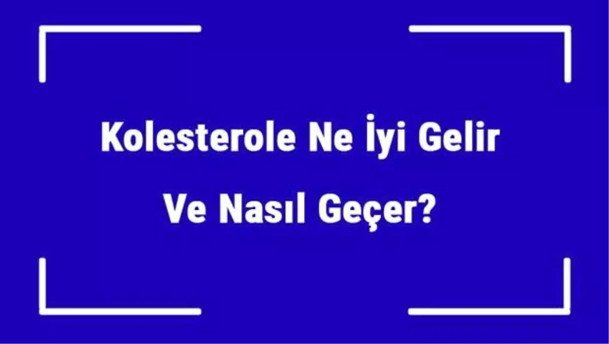 Kolesterole Ne İyi Gelir ve Nasıl Geçer? Kolesterol Nedenleri ve Tedavisi