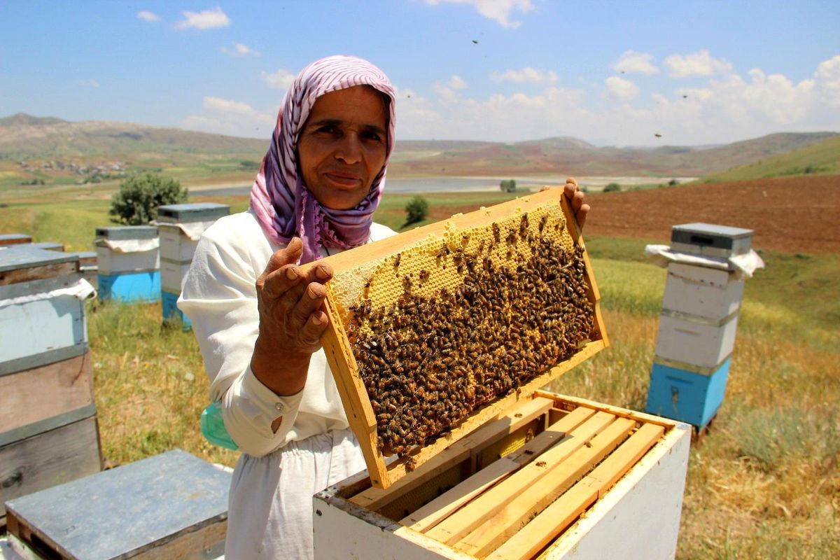 Kuraklık arıcıları endişelendiriyor