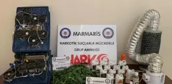 Marmaris'te evinde yetiştirdiği uyuşturucuyu turistlere satan resepsiyonist yakalandı