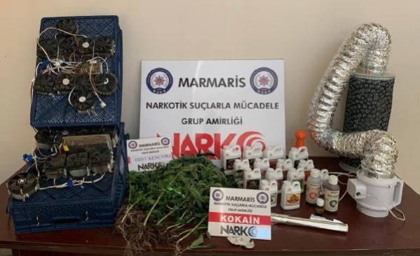 Marmaris'te evinde yetiştirdiği uyuşturucuyu turistlere satan resepsiyonist yakalandı