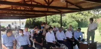 Mersin'de atıl tarım arazilerine keçiboynuzu dikimi projesi