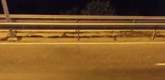 Motosikletten düştü, bariyerlere çarpıp öldü