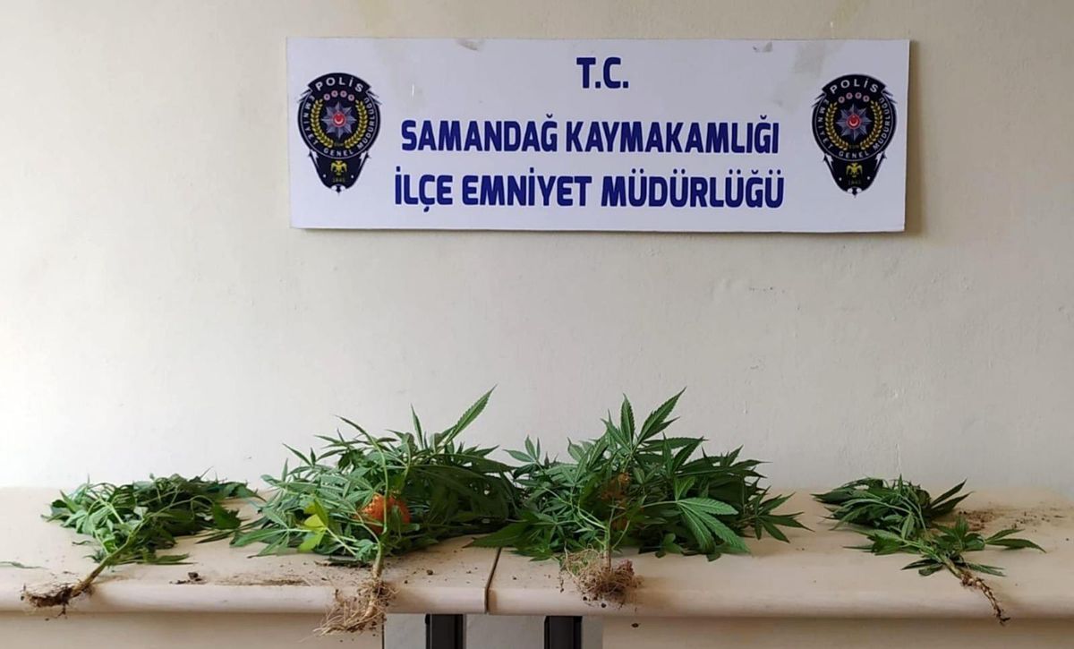 Son dakika haberi! Samandağ\'da uyuşturucu operasyonu: 2 gözaltı